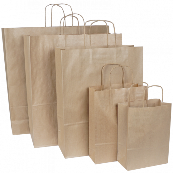 Крафтовый пакет с  крученными ручками , 220х120х290, 50г/м2, 