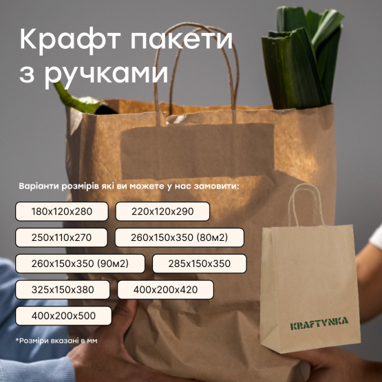 Пакет паперовий з ручками.. Розмір: 260х150х350, 90г/м2,